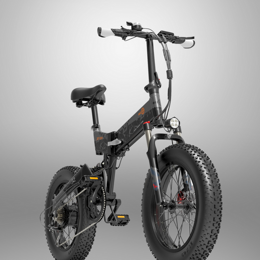 Costra FF-E-Bike Platinum Edition 1000W